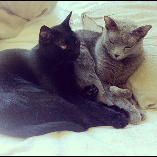 saturdaymorning-11am