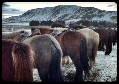 Iceland-3