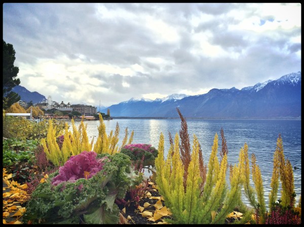 Montreux-2