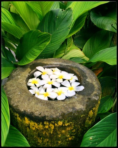 Processed with Snapseed.