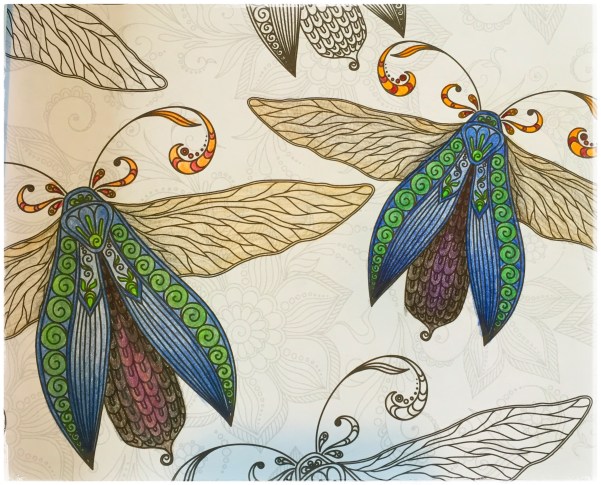 Processed with Snapseed.