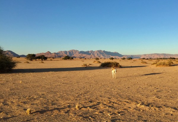 namib-2